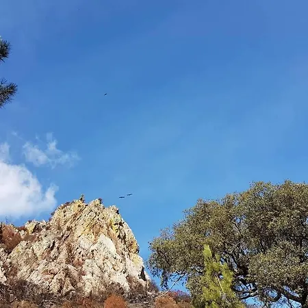 Feriehus Palheirinho Zimbreira