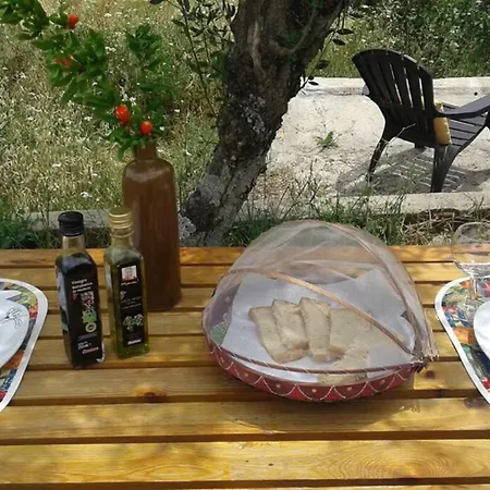 Tatil Evi Palheirinho