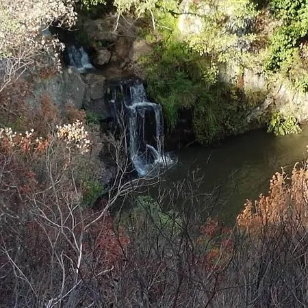 Palheirinho * Zimbreira