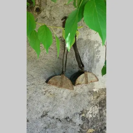 Tatil Evi Palheirinho