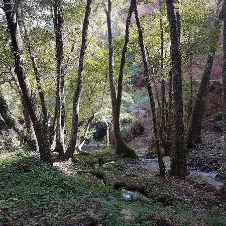 Feriehus Palheirinho