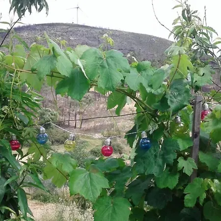 Tatil Evi Palheirinho *