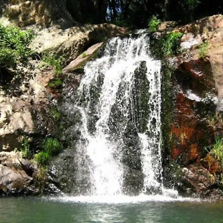 Tatil Evi Palheirinho *