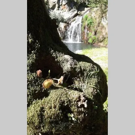 Tatil Evi Palheirinho Zimbreira