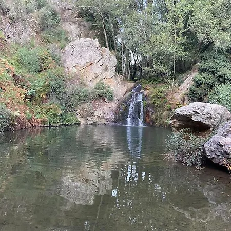 Palheirinho Tatil Evi Zimbreira