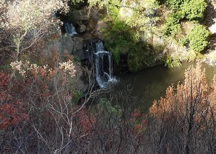 Palheirinho * Zimbreira