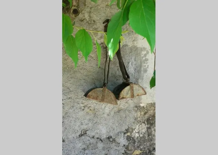 Сasa de vacaciones Palheirinho