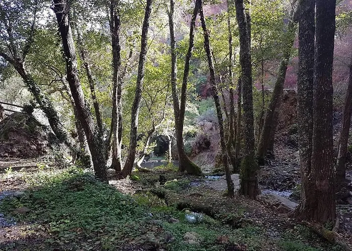 Сasa de vacaciones Palheirinho