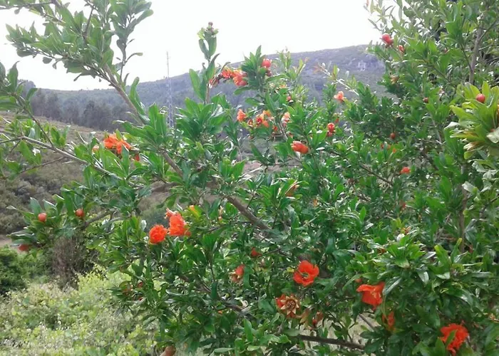 Сasa de vacaciones Palheirinho