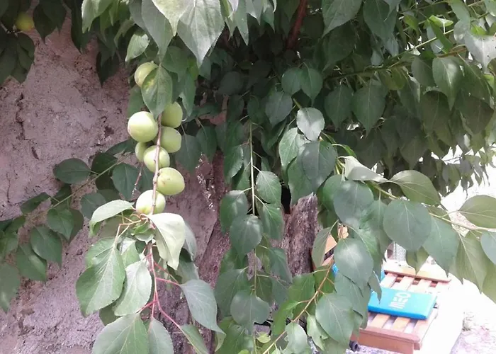 Сasa de vacaciones Palheirinho