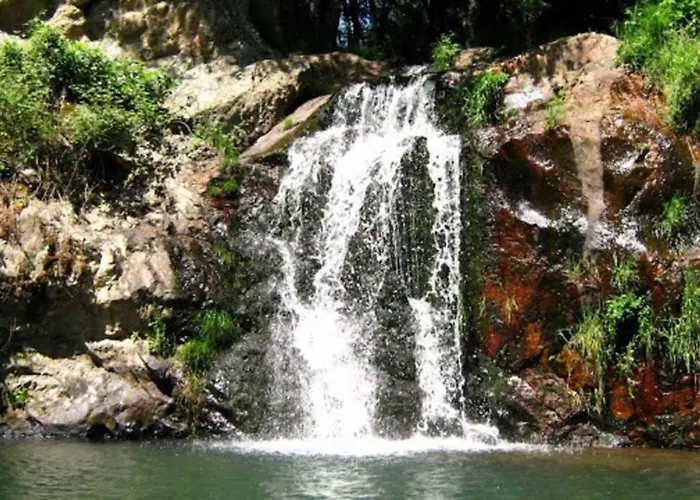 Дом отдыха Palheirinho *