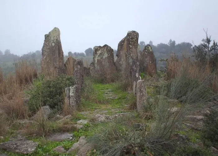 Дом отдыха Palheirinho *