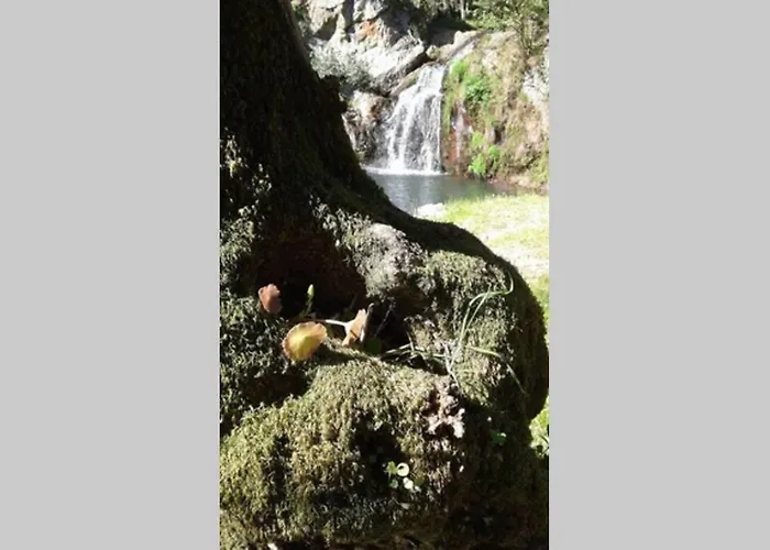 Сasa de vacaciones Palheirinho Zimbreira